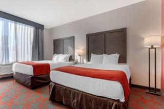 Comfort Inn & Suites near Stadium - Bronx - 1