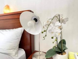 Apollo bay Holiday House - 5