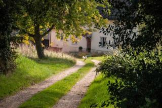 Mill Cottage set beside a Mill pond in a 70 acre Nature Reserve Bliss - Assington - 6