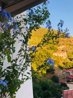 Casa 4 Novembre - Cittadella del Capo - 3