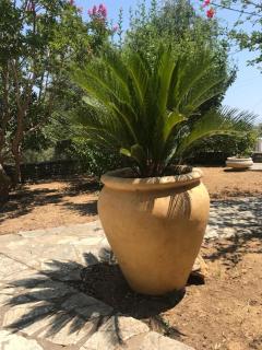 Top Holiday Home Private Pool by the sea With Private Garden for Private use - Koroni - 3