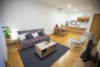 AS apartman 1 - Vršac - 3