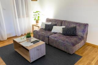 AS apartman 1 - Vršac - 2