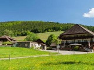 Landgasthaus Grüner Baum - Simonswald - 0