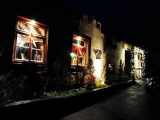 Landgasthaus Grüner Baum - 2