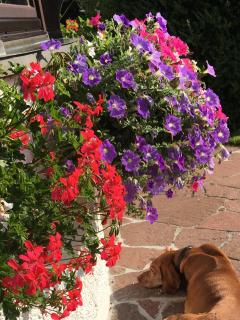 Ferienwohnung Frauendorf - 5