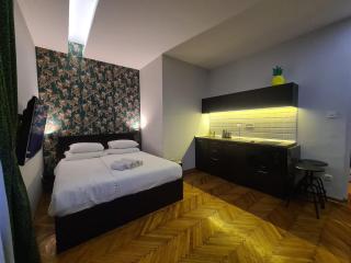Urban Studio in city center - Belgrado - 9