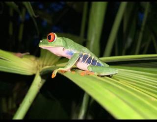 Cabinas ensueños - 2