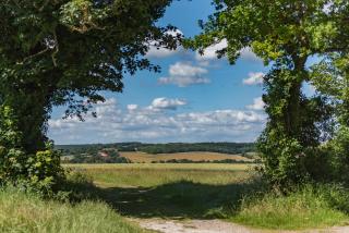 Pheasants Lodge by Bloom Stays - 5