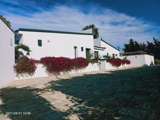 Casa La Palmera - Sólo Familias y Parejas - Conil de la Frontera - 4