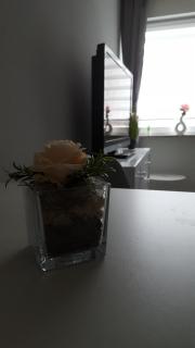 Kleine Oase bei Nina - Zorge - 6