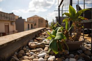 alfaapartment & beautiful 20-metre terrace - Casteldaccia - 9