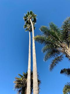 Inn at East Beach - Santa Barbara - 1