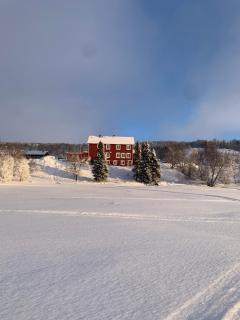 Strandgården Fjällnäs - Tänndalen - 2