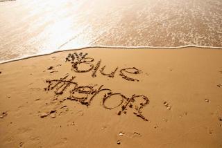 Blue Heron Boutique Motel - 5