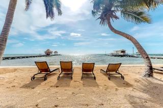 Saponaria 21-22 at Caribe Island Gold Standard Certified - San Pedro - 0