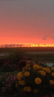 Lugar encantador com bela paisagem - Bagé - 8