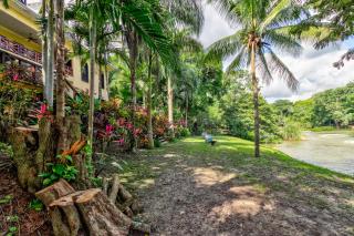 Mahogany Hall Gold Standard Certified - San Ignacio - 9