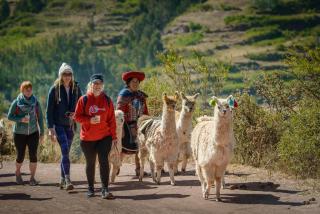ALPACA LODGE & EXPLORATIONS - 6