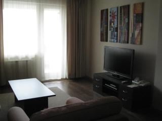 Spacious and Cosy Apartment in Bansko Royal Towers Complex - Bansko - 7