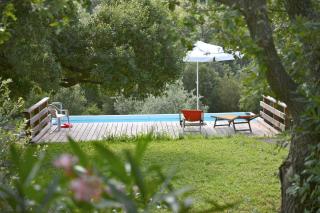 Poggio Ferrone - Suvereto - 6