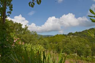 Poggio Ferrone - Suvereto - 5