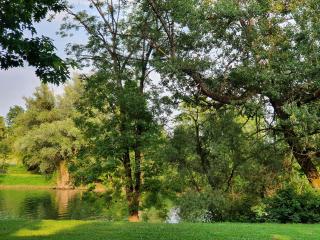 GM House, mobile house near Kolpa river - Metlika - 6