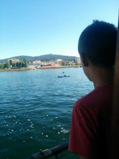 Barco 12 mts centro Cangas - Cangas de Morrazo - 7