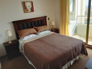 Departamento Atlántico Viña Del Mar - Viña del Mar - 3