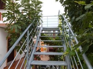 Apartmani Veronika Nin - Nin - 2