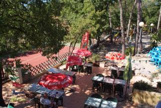 Camping Le Parc - Saint-Paul-en-Forêt - 5
