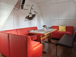 Hotel-Pension Rennsteighütte Frauenwald - 8