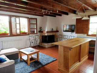 Viviendas vacacionales La Casona de Tresniñin - Nava - 3
