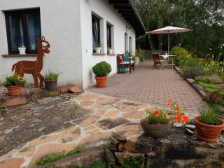 Haus Alpaka - Bad König - 9