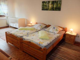 Haus Alpaka - Bad König - 4