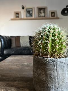 Holiday Home Villa St Arnoux - Seillans - 1