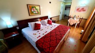 Hotel Dan Inn Campinas Cambuí - Um Hotel Clássico em Campinas By Nacional Inn - Campinas - 9