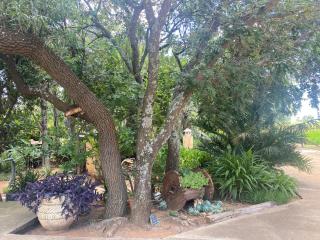 Magaliesberg inn - 7