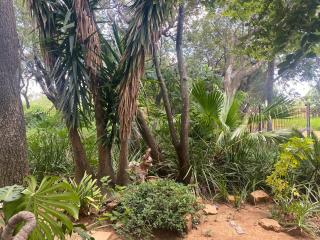 Magaliesberg inn - 5