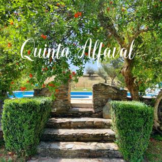 Quinta Alfaval - 9