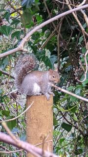 Summerfields House - Hastings - 5