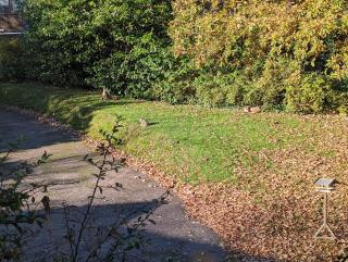 Summerfields House - 2