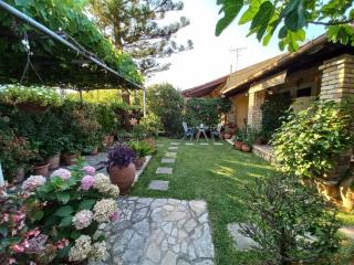 Villa Tina Country Beach Apartments - Acharavi - 7