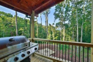 Mountain Hideaway with Hot Tub & Fire Pit - Mineral Bluff - 6