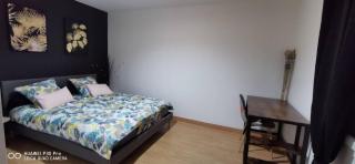 Appartement Cosy au cœur de la Champagne - 7