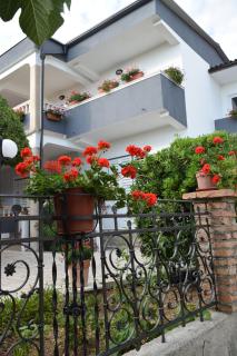 Apartmani Anđela i Mladen Debelić - Rab - 8