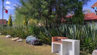 Cabañas los cactus 2 - Huasca de Ocampo - 7