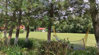 Cabañas los cactus 2 - Huasca de Ocampo - 1