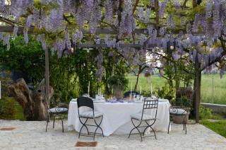 Ca'Bevilacqua Bed&Breakfast - Bertinoro - 8