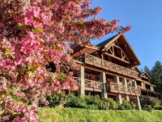 Lodge at Sandpoint - Sandpoint - 9